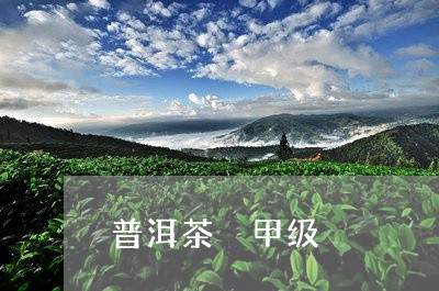 普洱茶 甲级/2023042932186